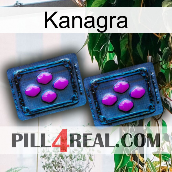 Kanagra 03.jpg